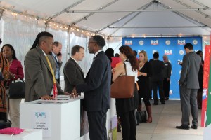 21719417744_81bc1c13b0_o